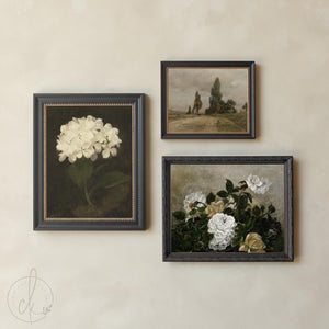 Vintage Gallery Wall Set | Framed Botanical & Floral Wall Art | Neutral Living Room Decor | G1