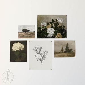 Vintage Gallery Wall Set | Framed Botanical & Floral Wall Art | Neutral Living Room Decor | G1