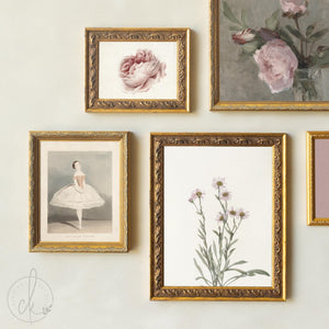 Vintage Nursery Wall Art | Botanical, Swan & Ballerina Gallery Set | Girl Nursery Wall Decor | G28