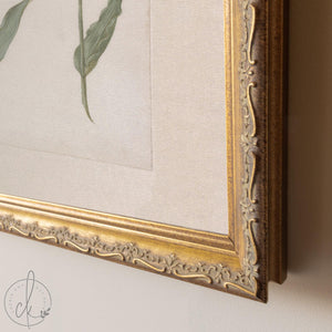 Vintage Botanical Print | Framed Tulip Canvas Art | Antique Gold Floral Wall Decor | N27