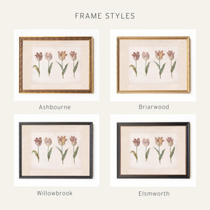 Vintage Botanical Print | Framed Tulip Canvas Art | Antique Gold Floral Wall Decor | N27