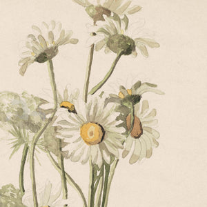 Daisy Wall Decor | Watercolor Flower Painting | Gold Framed Floral Still Life | N218