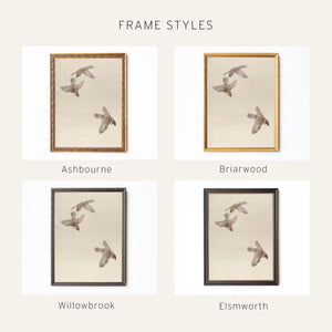 Sparrow Art Print | Vintage Framed Bird Canvas | Antique Gold Wall Decor | N110