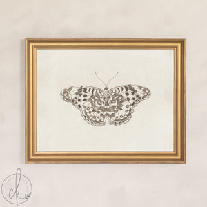 Framed butterfly art on canvas showing a single butterfly with wings spread, in a gold frame against a cream wall.