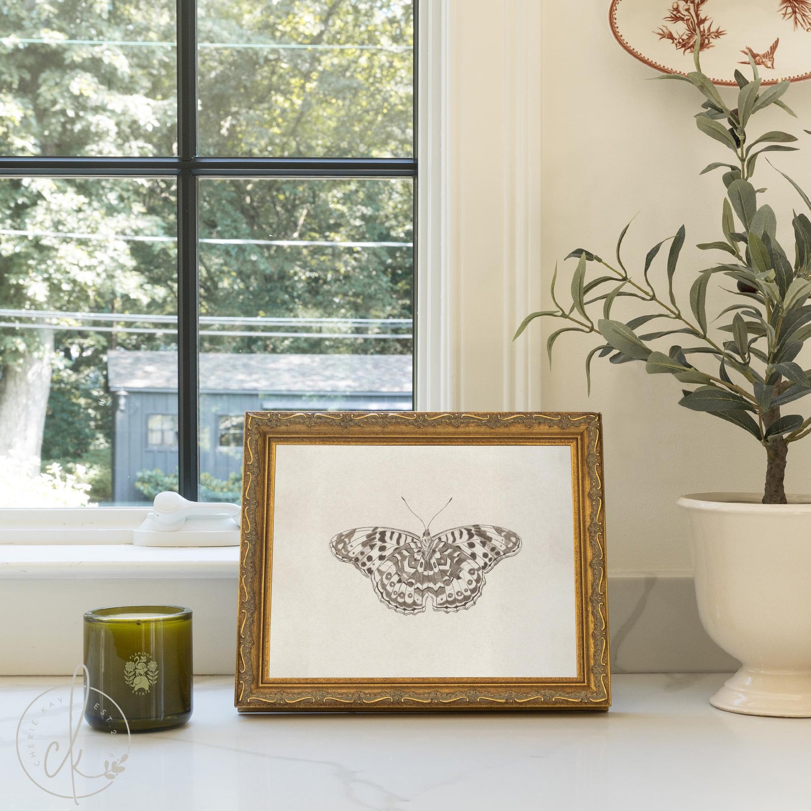 Framed Butterfly Art | Vintage Drawing Canvas Print | Antique Gold Wall Decor | N112