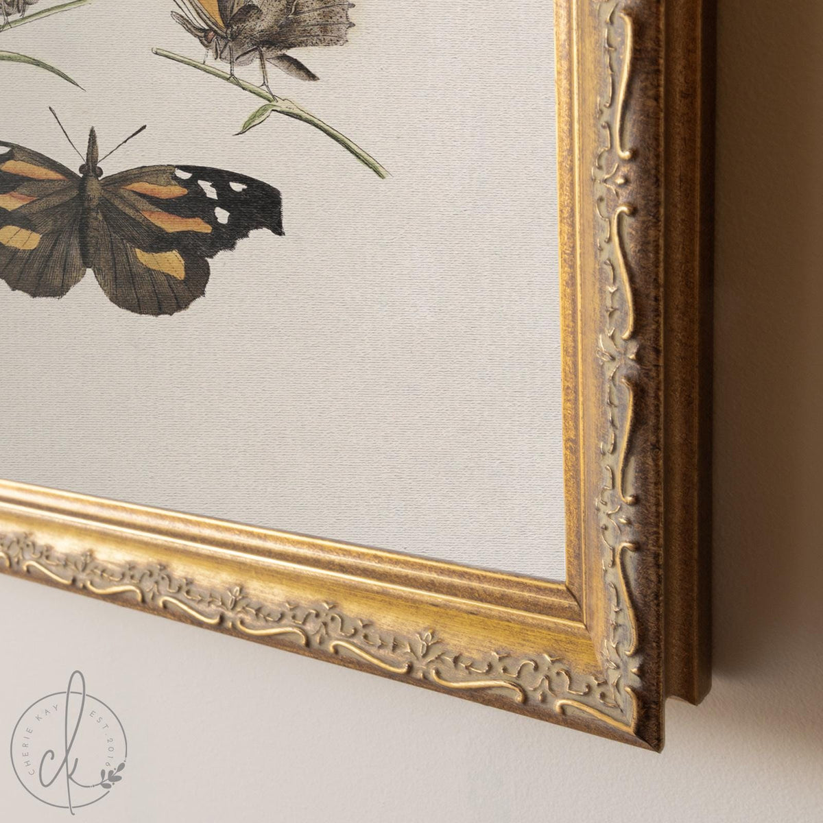 Framed Butterfly Art | Vintage Butterfly Print | Kitchen Wall Decor | N141