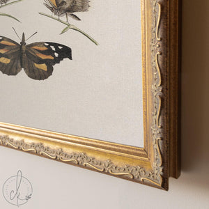 Framed Butterfly Art | Vintage Butterfly Print | Kitchen Wall Decor | N141