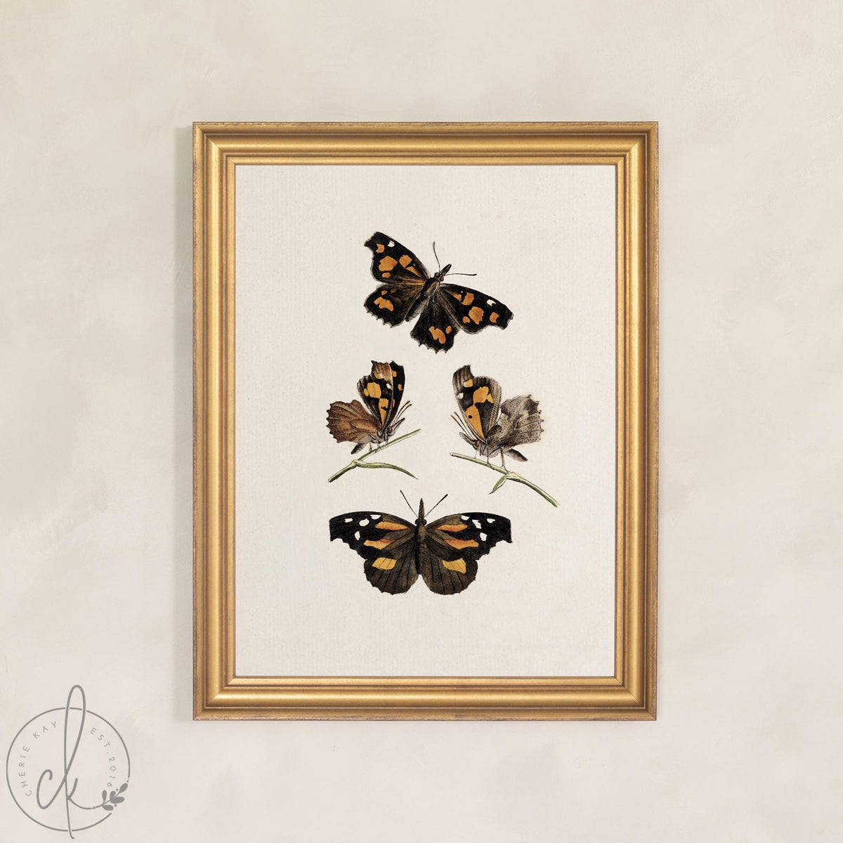 Framed Butterfly Art | Vintage Butterfly Print | Kitchen Wall Decor | N141
