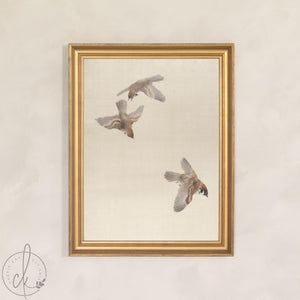 Sparrow Art Print | Vintage Framed Bird Canvas | Antique Gold Wall Decor | N110