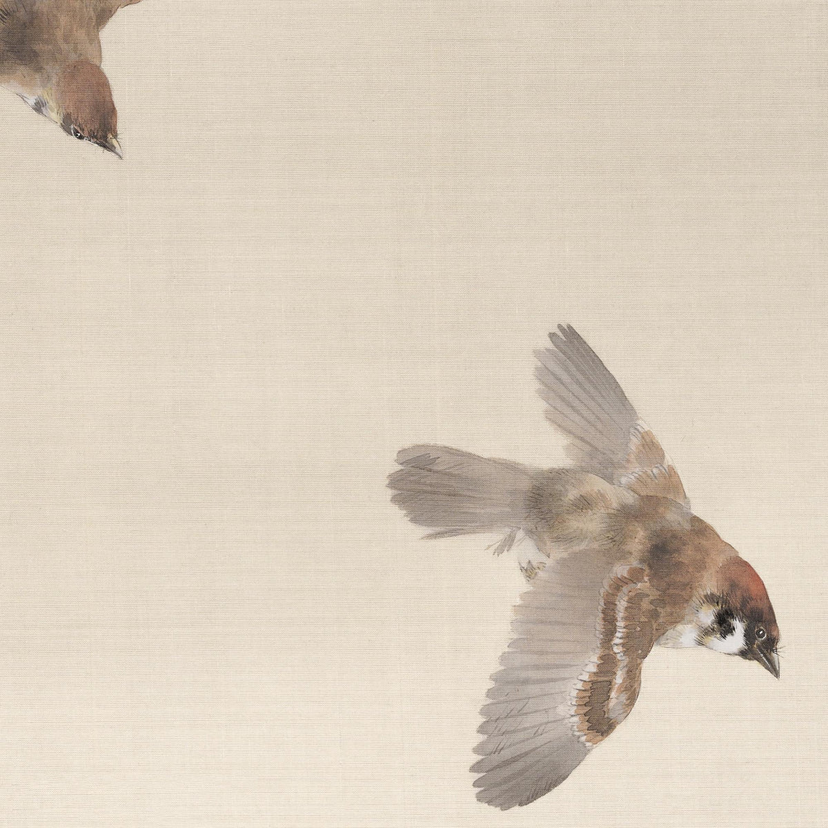 Sparrow Art Print | Vintage Framed Bird Canvas | Antique Gold Wall Decor | N110