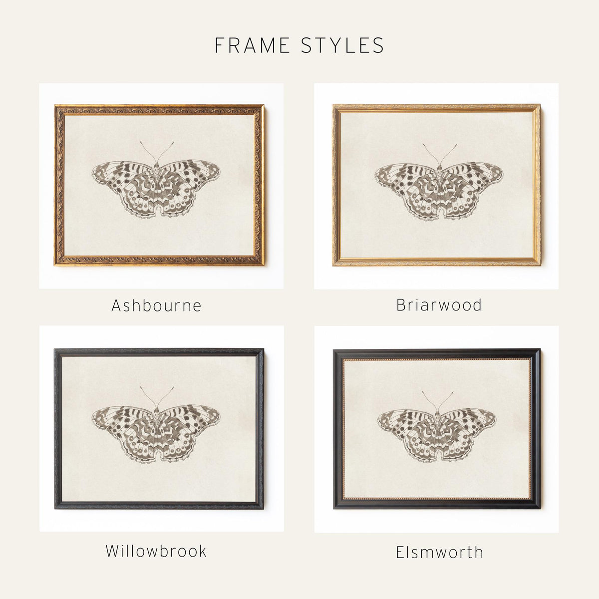 Framed Butterfly Art | Vintage Drawing Canvas Print | Antique Gold Wall Decor | N112