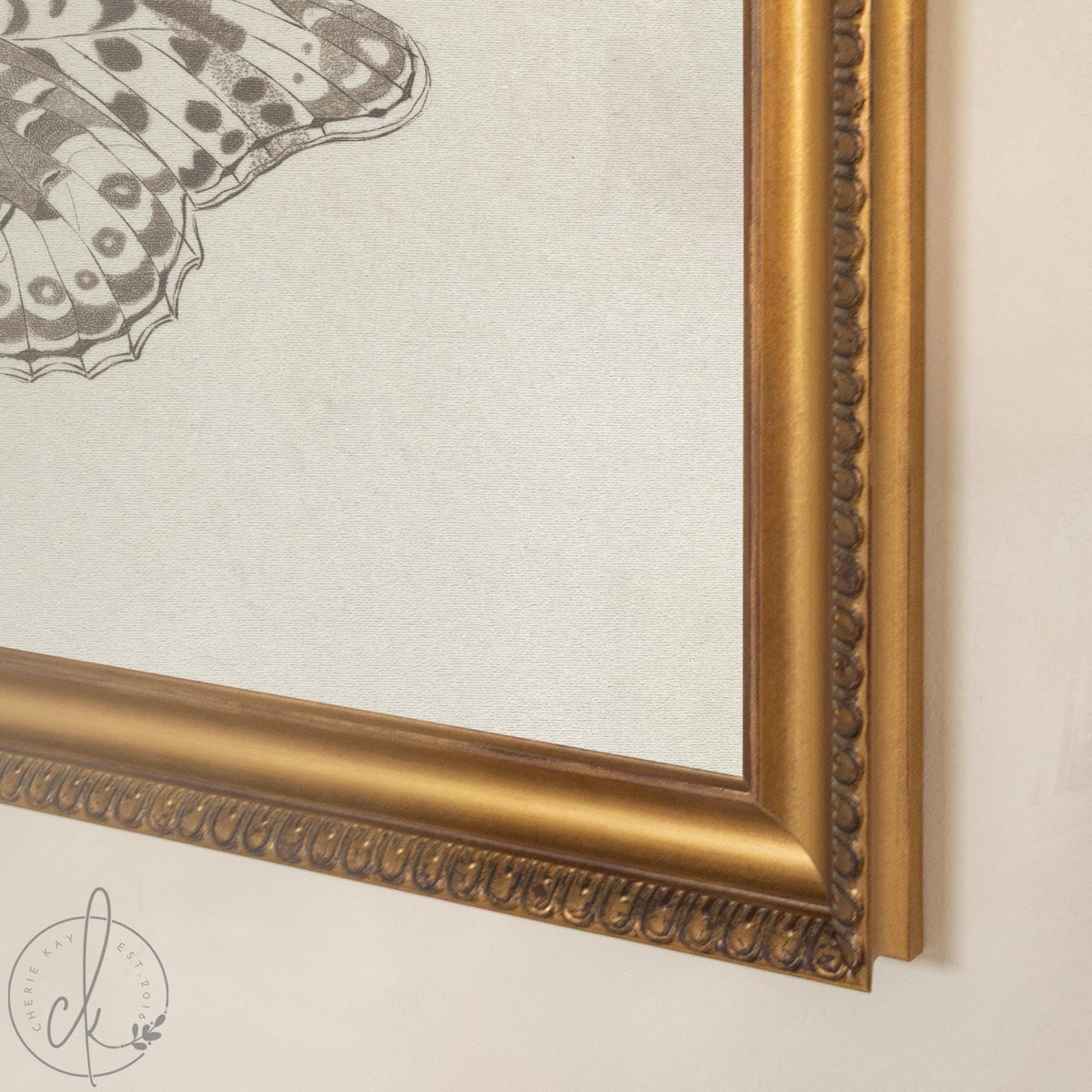 Framed Butterfly Art | Vintage Drawing Canvas Print | Antique Gold Wall Decor | N112
