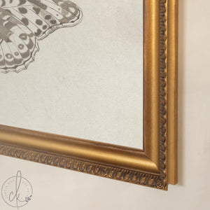 Framed Butterfly Art | Vintage Drawing Canvas Print | Antique Gold Wall Decor | N112