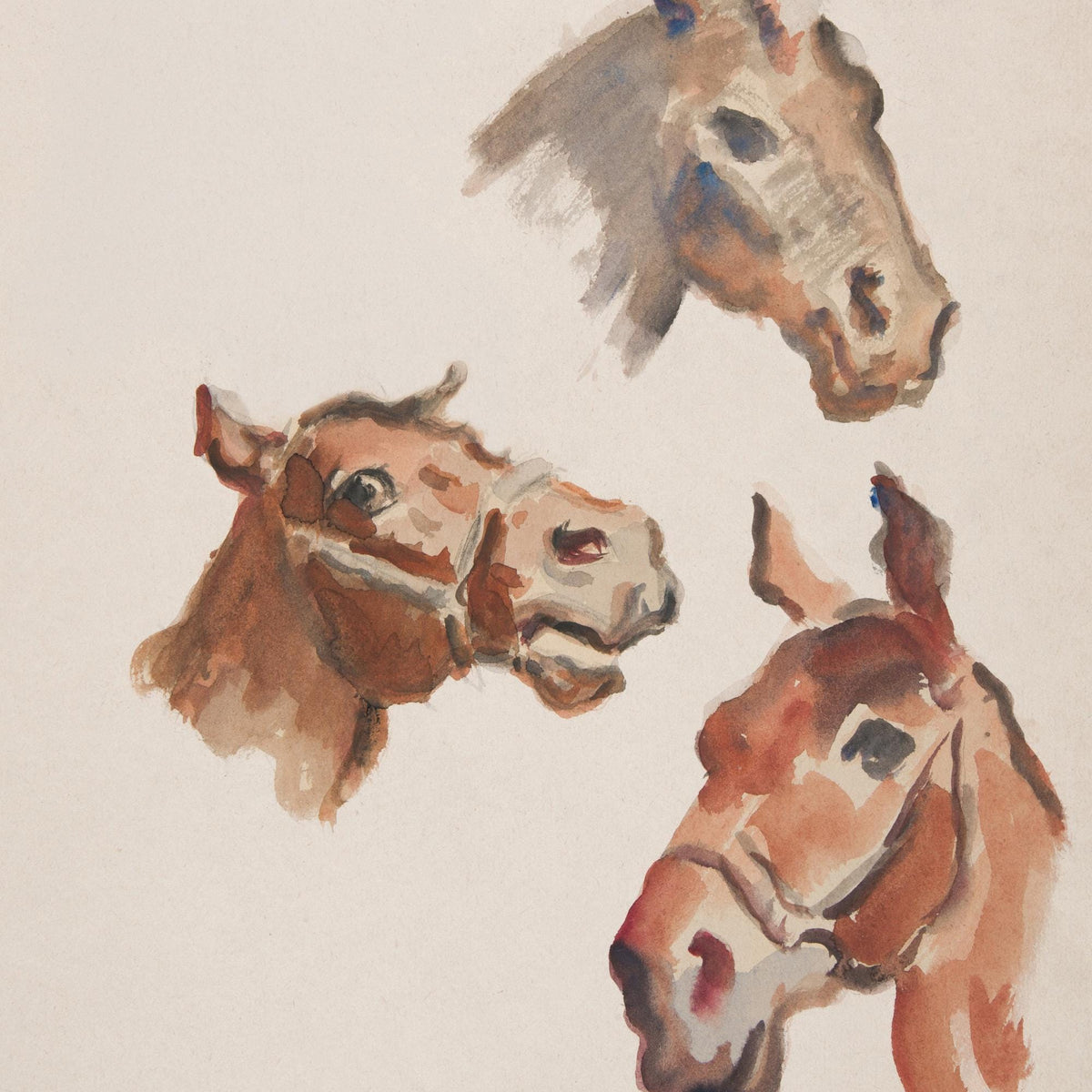 Horse Print | Framed Vintage Equestrian Canvas | Three Horse Portrait Wall Art | N145