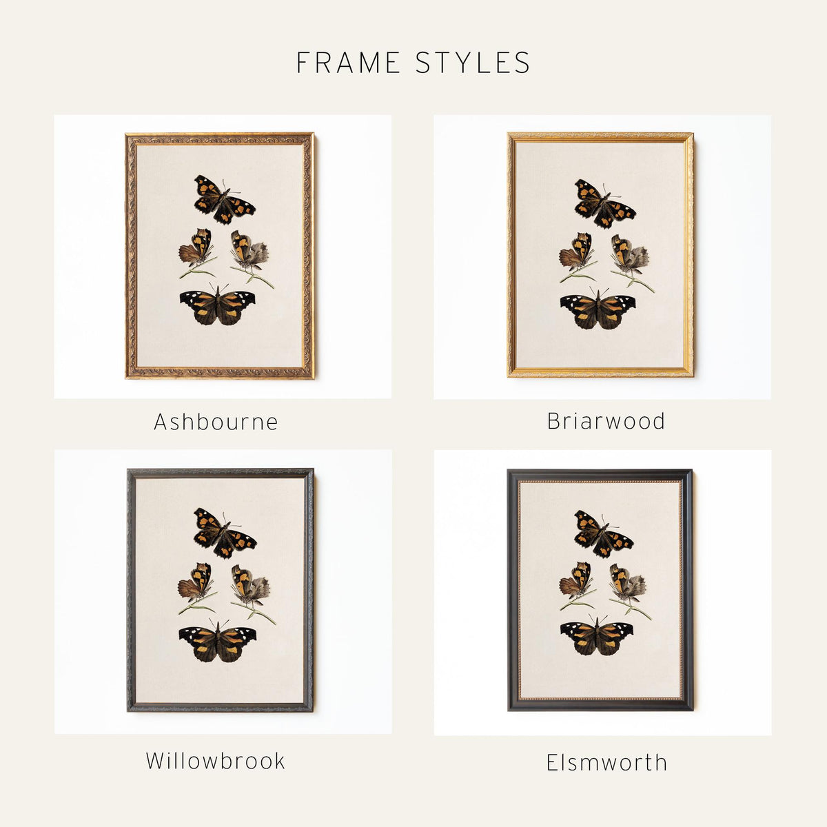 Framed Butterfly Art | Vintage Butterfly Print | Kitchen Wall Decor | N141