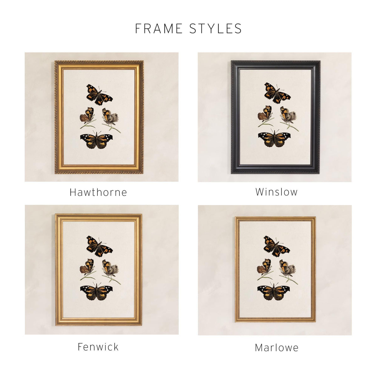 Framed Butterfly Art | Vintage Butterfly Print | Kitchen Wall Decor | N141