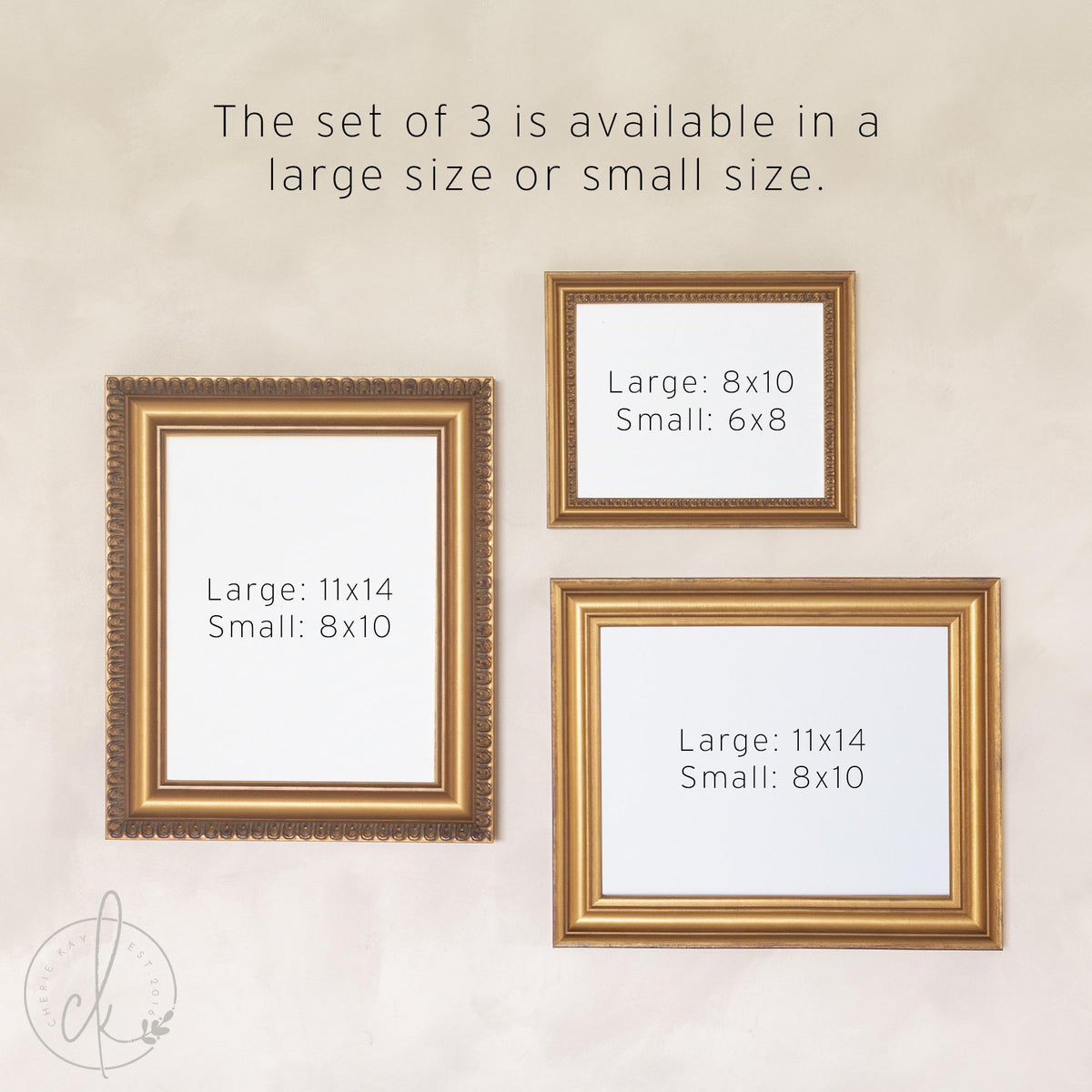 Vintage Gold Gallery Wall Frame Set | Empty Ornate Picture Frames with Backboard and Acrylic | Five Sizes 6x8 to 11x14 | #1