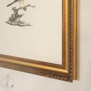 Bird Wall Decor | Vintage Songbird Framed Canvas in Ornate Gold Frame | Antique Style Art for Entryway or Living Room | N172