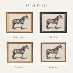Horse Portrait Framed Canvas | Watercolor Equestrian Wall Art | Vintage Gold Frame Living Room Decor | N165