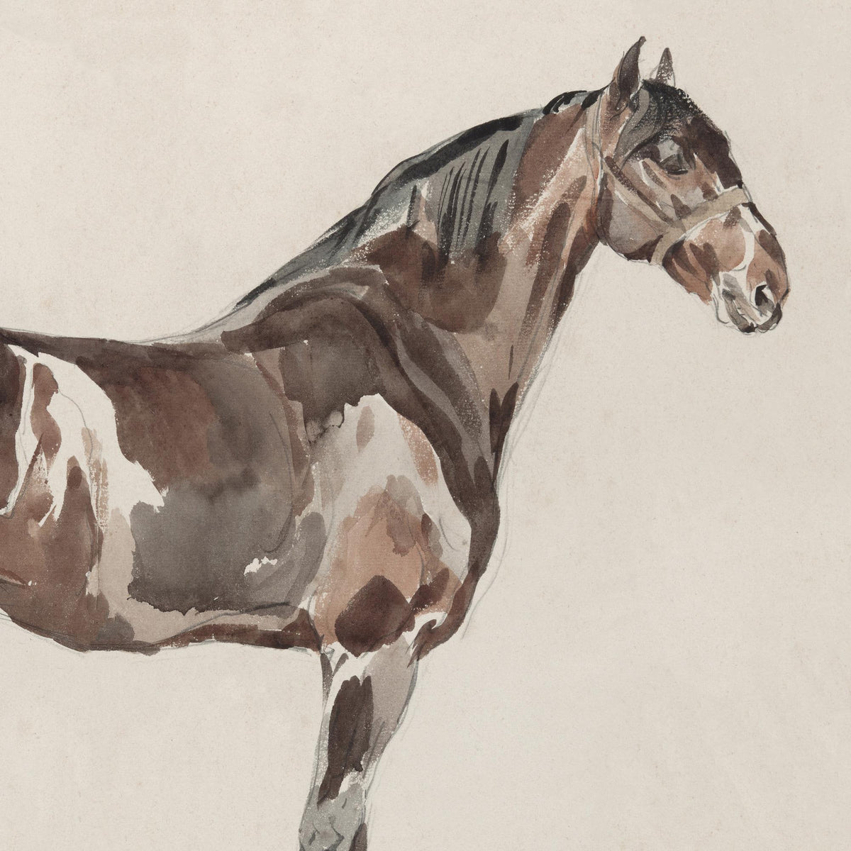 Horse Portrait Framed Canvas | Watercolor Equestrian Wall Art | Vintage Gold Frame Living Room Decor | N165