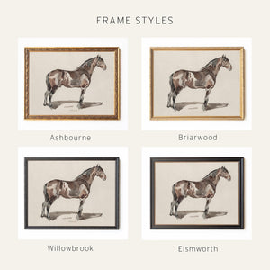 Horse Portrait Framed Canvas | Watercolor Equestrian Wall Art | Vintage Gold Frame Living Room Decor | N165