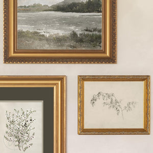 Gallery Wall Pictures Set of 5 | Vintage Framed Canvas Art | Neutral Landscape and Botanical Prints for Entryway | G45