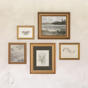 Gallery Wall Pictures Set of 5 | Vintage Framed Canvas Art | Neutral Landscape and Botanical Prints for Entryway | G45