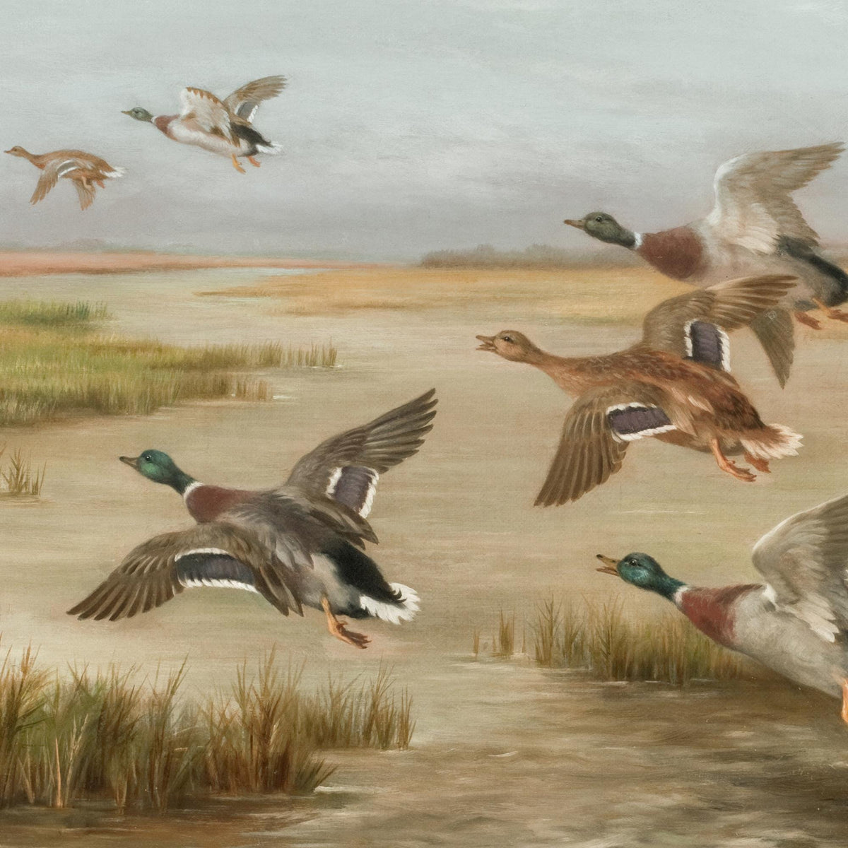 Mallard Duck Painting | Vintage Waterfowl Wall Art in Ornate Gold Frame | Framed Canvas for Office or Lake House | N176