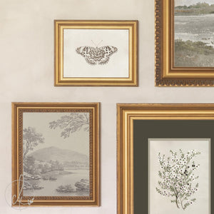 Gallery Wall Pictures Set of 5 | Vintage Framed Canvas Art | Neutral Landscape and Botanical Prints for Entryway | G45