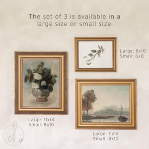 Curated Gallery Wall Set of 5 Framed Prints | River Landscape, White Roses and Rainy Street | Ready to Hang Entryway Art | G8-1