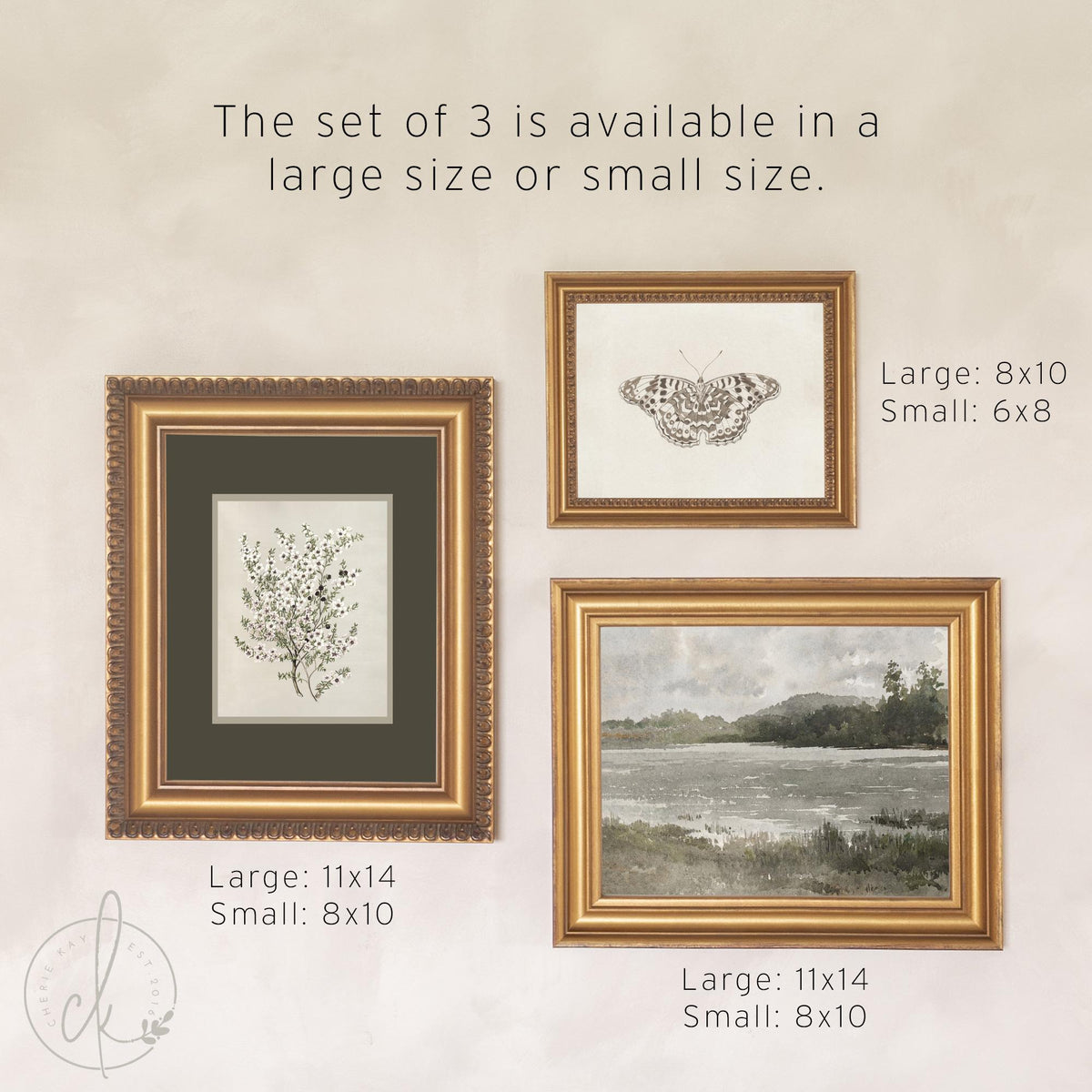 Gallery Wall Pictures Set of 5 | Vintage Framed Canvas Art | Neutral Landscape and Botanical Prints for Entryway | G45