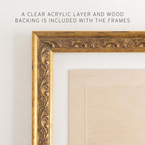 Antique Gold Picture Frame Set of 5 | Empty Ornate Frames for Your Own Art or Photos | Backboard & Acrylic, 6x8 to 11x14