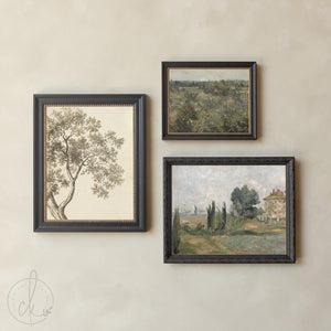 Picture Collage Wall Canvas Prints | Gold Framed Vintage Artwork | Over the Sofa Art | G23