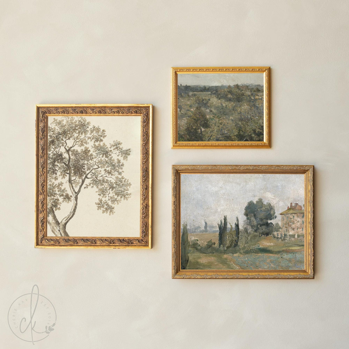 Picture Collage Wall Canvas Prints | Gold Framed Vintage Artwork | Over the Sofa Art | G23