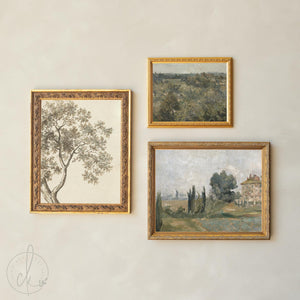 Picture Collage Wall Canvas Prints | Gold Framed Vintage Artwork | Over the Sofa Art | G23