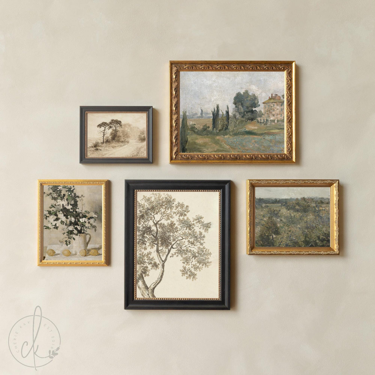 Picture Collage Wall Canvas Prints | Gold Framed Vintage Artwork | Over the Sofa Art | G23