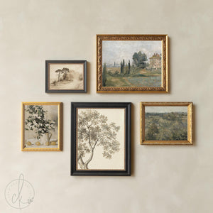 Picture Collage Wall Canvas Prints | Gold Framed Vintage Artwork | Over the Sofa Art | G23