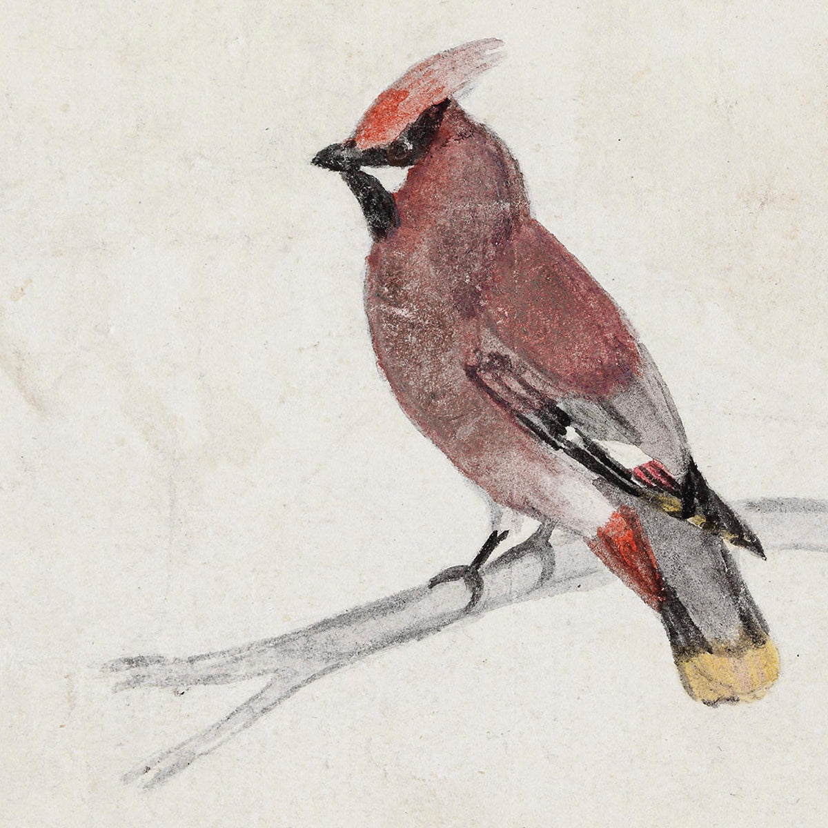Winter Bird Decor | Waxwing Watercolor Canvas Print | Ornate Gold Framed Wall Art | N159