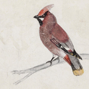 Winter Bird Decor | Waxwing Watercolor Canvas Print | Ornate Gold Framed Wall Art | N159