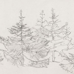 Christmas Tree Sketch Print | Vintage Style Evergreen Art | Ornate Gold Framed Canvas | N188