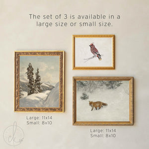Christmas Art for Wall Set of 5 | Ornate Gold Frames | Fox, Evergreen and Waxwing | G46