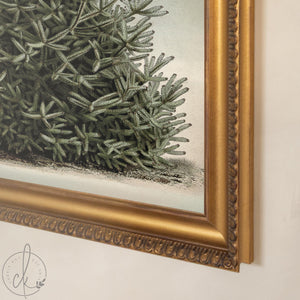 Christmas Tree Artwork | Vintage Snowy Evergreen Painting | Large Gold Framed Canvas Print | N160