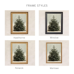 Christmas Tree Artwork | Vintage Snowy Evergreen Painting | Large Gold Framed Canvas Print | N160