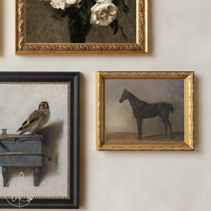 Wall Collage Set of 5 | Gold Framed Vintage Artwork | Goldfinch, Horse and Rose Prints | G2