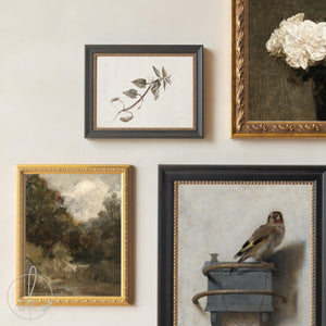 Wall Collage Set of 5 | Gold Framed Vintage Artwork | Goldfinch, Horse and Rose Prints | G2