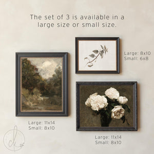 Wall Collage Set of 5 | Gold Framed Vintage Artwork | Goldfinch, Horse and Rose Prints | G2