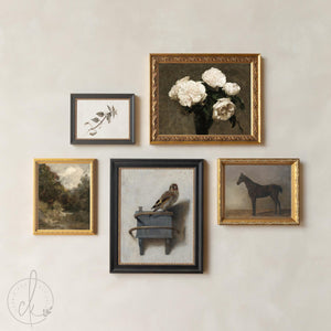 Wall Collage Set of 5 | Gold Framed Vintage Artwork | Goldfinch, Horse and Rose Prints | G2