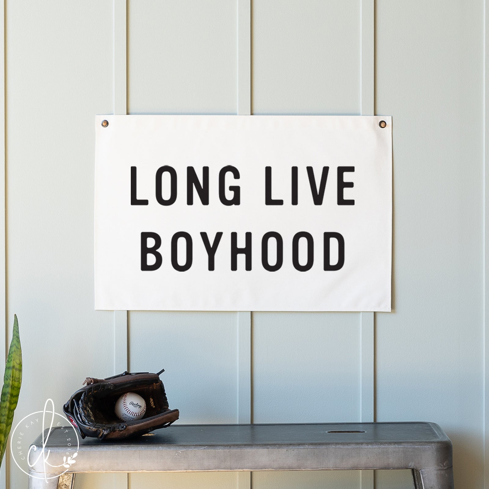 Sign with 'LONG LIVE BOYHOOD' text on a wall with a baseball glove and ball below.