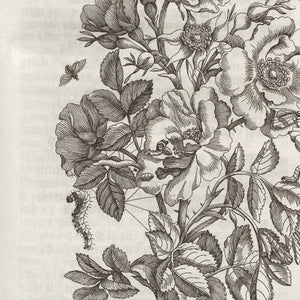 Vintage Flower Print | Framed Black & White Botanical Wall Art | N109
