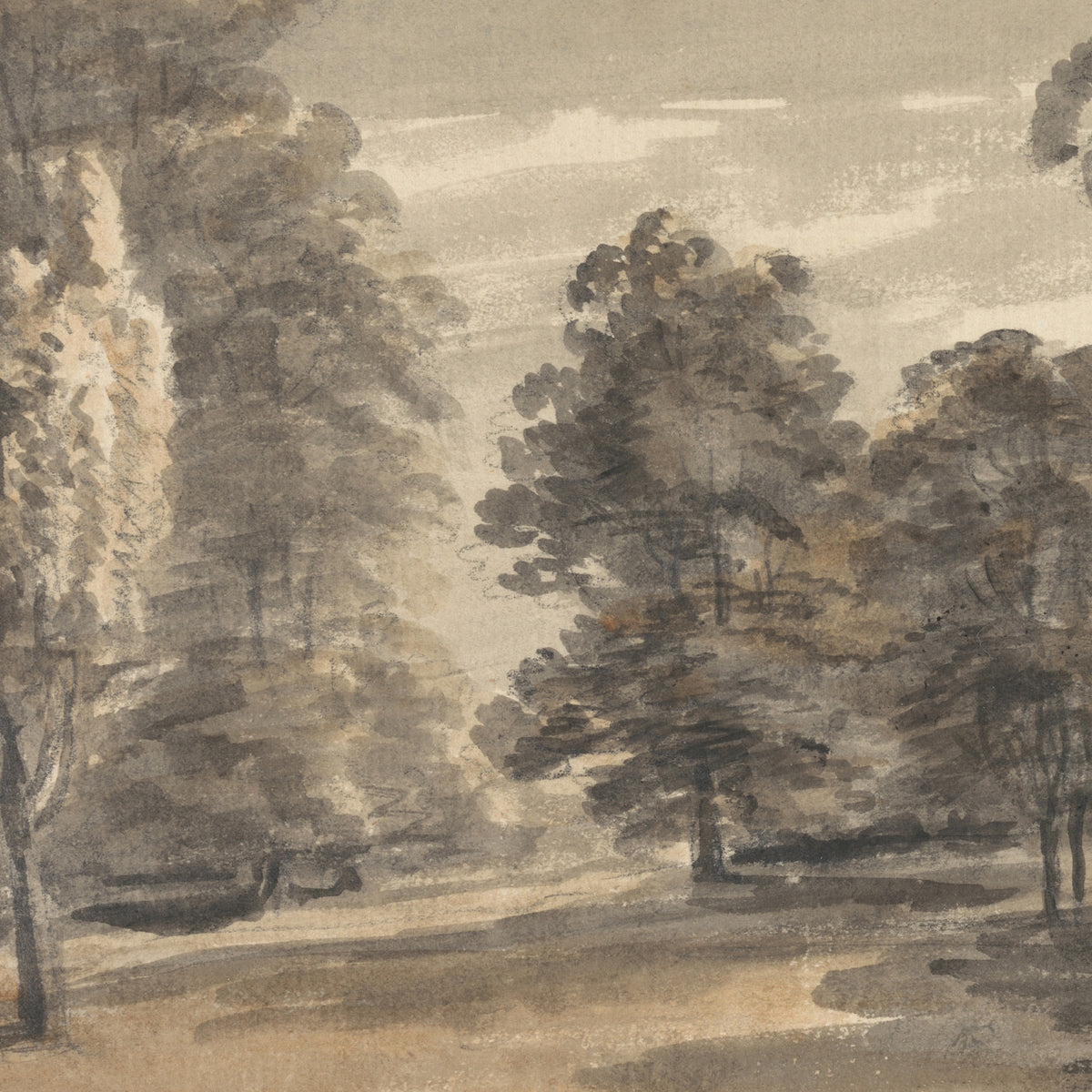 Moody Landscape Wall Art | Large Framed Woodland Canvas Print | Neutral Living Room Decor | N21